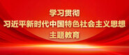 大胸妹子透逼视频学习贯彻习近平新时代中国特色社会主义思想主题教育_fororder_ad-371X160(2)